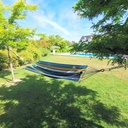 017853-1.jpg
